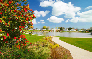 Patrington Haven Leisure Park