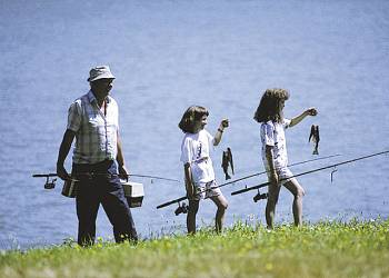 Piperdam Lodges