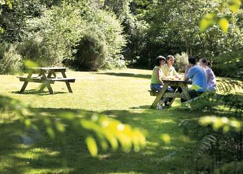 Woodland Lodges