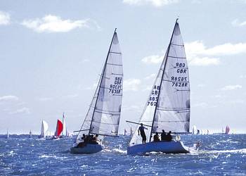 Gurnard Pines