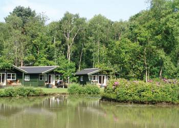 Great Wood Lodges