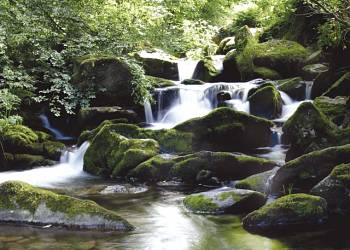 Dean Steep