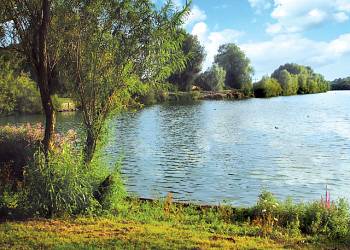 Roydon Mill Lodges