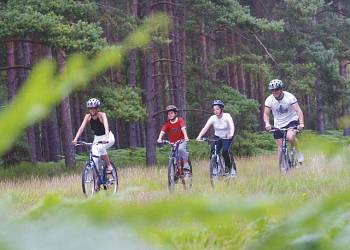 Oakdene Forest Park