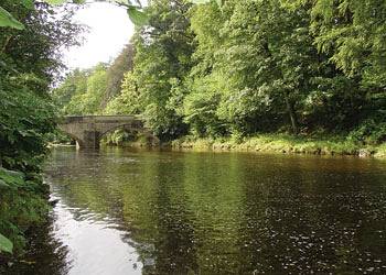 Ribblesdale Lodges