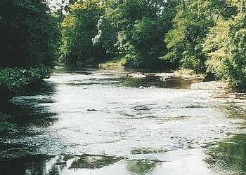 Gadgirth Lodges