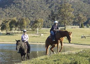 Swainswood Park