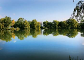 Weybread Lakes Lodges