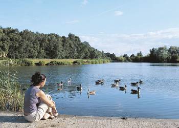 Woodlakes