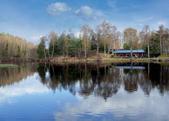 Lochanhully Woodland Resort