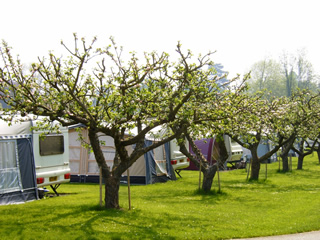 Arrow Bank Holiday Park