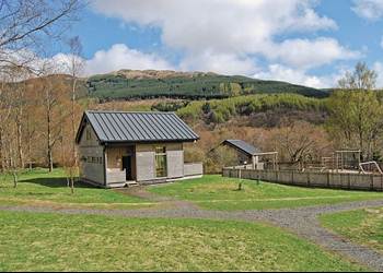 Strathyre Forest, Callander,Perth and Kinross,Scotland